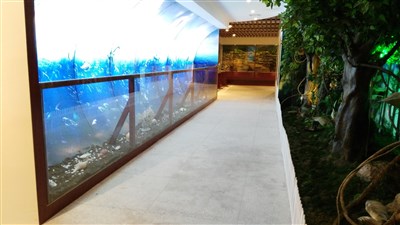 桂林市植物园科普展厅承办